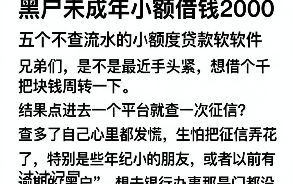 黑户未成年小额借钱2000，概览五个不查流水的小额度贷款软件