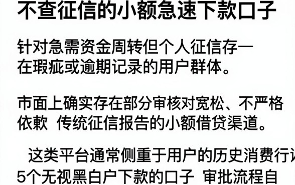 不查征信的小额急速下款口子，详细阐述5个无视黑白户下款的口子