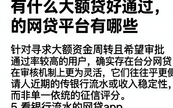 有什么大额贷好通过的网贷平台有哪些，遴选5个看银行流水的网贷app
