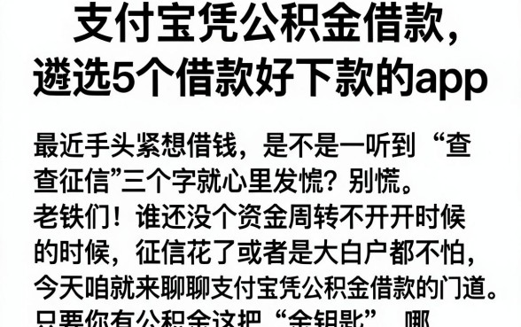 支付宝凭公积金借款,遴选5个借款好下款的app