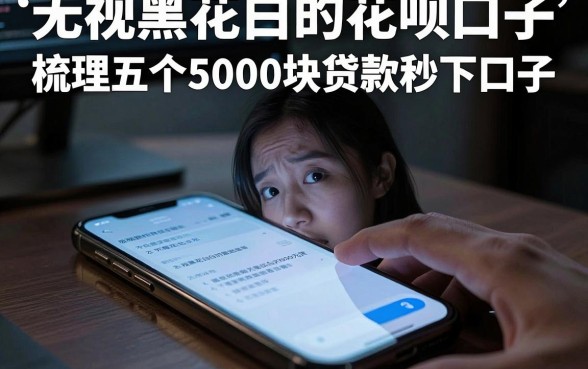 无视黑花白的花呗口子，梳理五个5000块贷款秒下口子