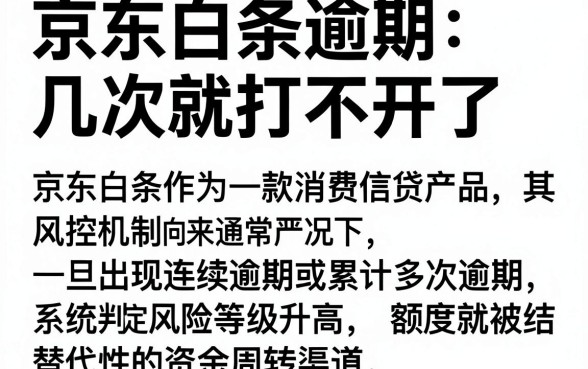 京东白条逾期几次就打不开了,精选5个值得信赖的借贷平台