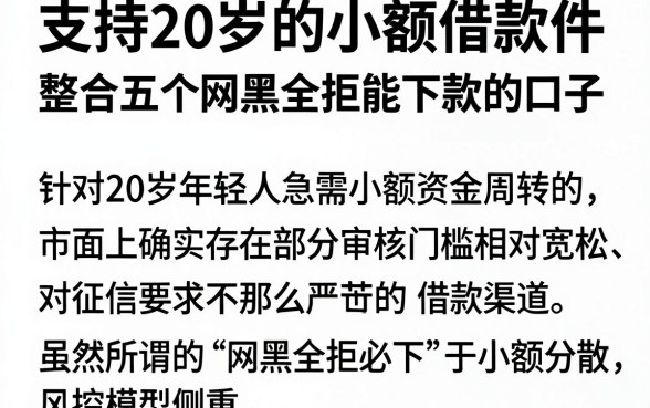 支持20岁的小额借款件,整合五个网黑全拒能下款的口子