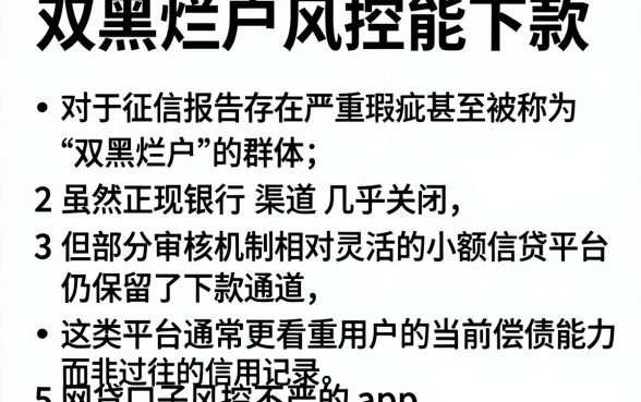 双黑烂户风控能下款,条列5个网贷口子风控不严的app