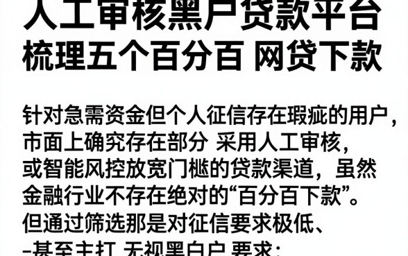 人工审核黑户贷款平台,梳理五个百分百下款无视黑白户网贷app