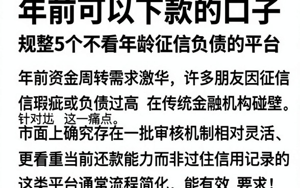 年前可以下款的口子,规整5个不看年龄征信负债的平台