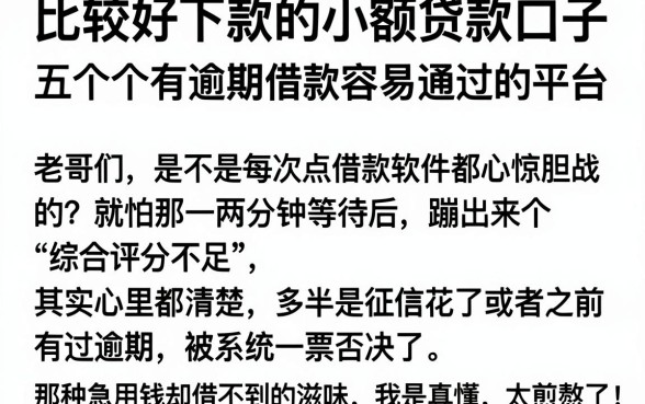 比较好下款的小额贷款口子，深入剖析五个有逾期借款容易通过的平台