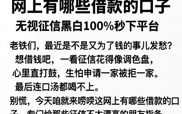 网上有哪些借款的口子，概览五个无视征信黑白100%秒下平台