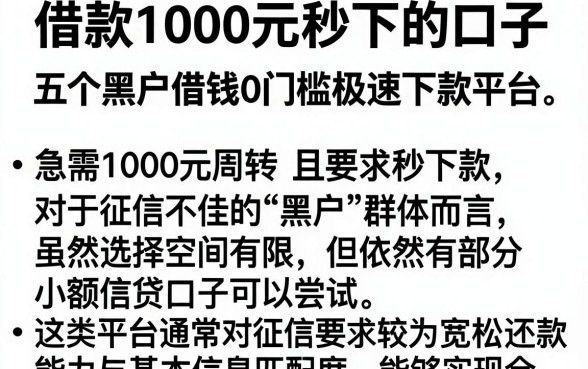 借款1000元秒下的口子，概览五个黑户借钱0门槛极速下款平台