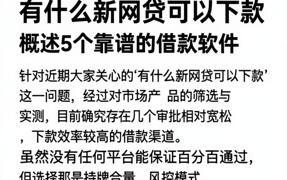 有什么新网贷可以下款，概括5个靠谱的借款软件