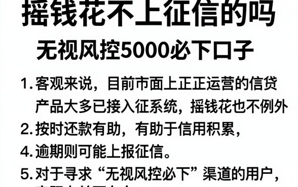 摇钱花不上征信的吗，汇总5个无视风控5000必下口子