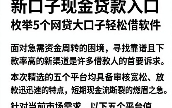 新口子现金贷款入口,枚举5个网贷大口子轻松借软件