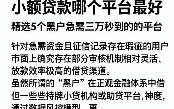 小额贷款哪个平台最好,精选5个黑户急需三万秒到的的平台