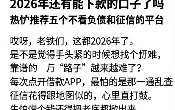 2026年还有能下款的口子了吗，热忱推荐五个不看负债和征信的平台
