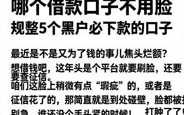 哪个借款口子不用脸,规整5个黑户必下款的口子