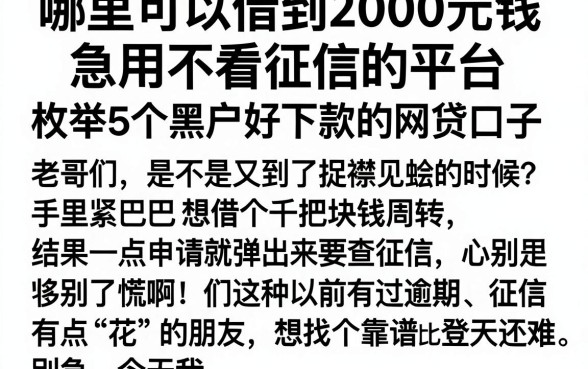 哪里可以借到2000元钱急用不看征信的平台，枚举5个黑户好下款的网贷口子
