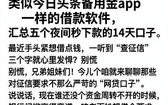 类似今日头条备用金app一样的借款软件，汇总五个夜间秒下款的14天口子