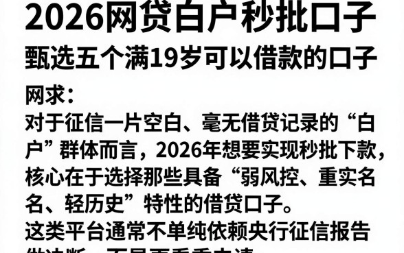 2026网贷白户秒批口子,甄选五个满19岁可以借款的口子