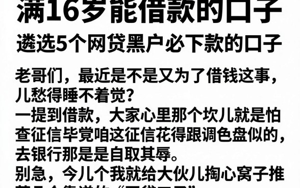 满16岁能借款的口子，遴选5个网贷黑户必下款的口子