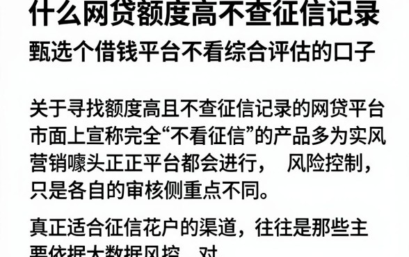 什么网贷额度高不查征信记录，甄选五个借钱平台不看综合评估的口子