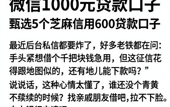 微信1000元贷款口子,甄选5个芝麻信用600贷款口子