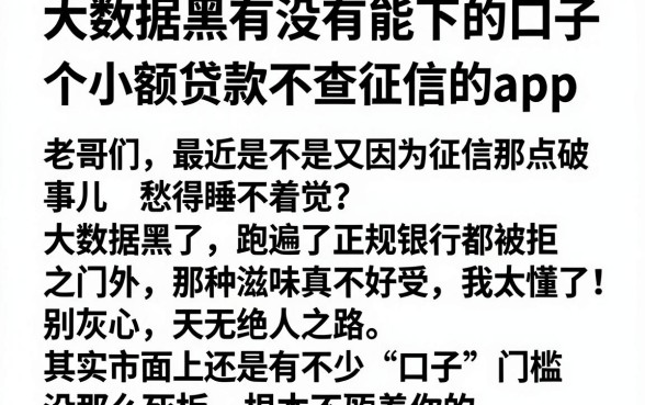 大数据黑有没有能下的口子,归纳五个小额贷款不查征信的app