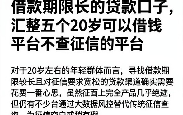 借款期限长的贷款口子，汇整五个20岁可以借钱平台不查征信的平台