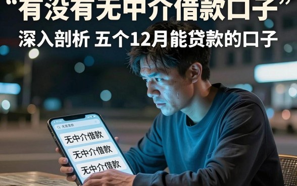 有没有无中介借款口子，深入剖析五个12月能贷款的口子
