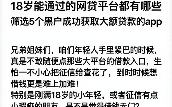 18岁能通过的网贷平台都有哪些,筛选5个黑户成功获取大额贷款的app