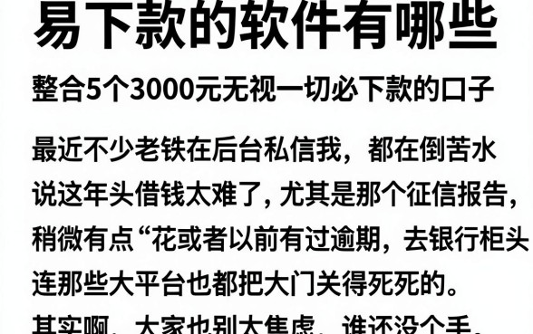 易下款的软件有哪些，整合5个3000元无视一切必下款的口子