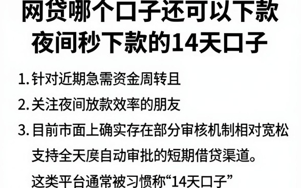 网贷哪个口子还可以下款,概括五个夜间秒下款的14天口子