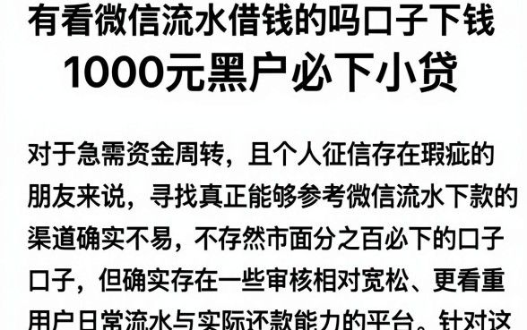 有看微信流水借钱的吗口子下钱,整理五个1000元黑户必下小贷