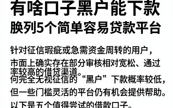 有啥口子黑户能下款,胪列5个简单容易贷款平台