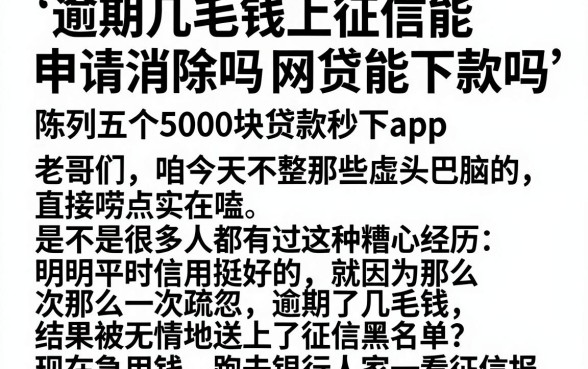 逾期几毛钱上征信能申请消除吗网贷能下款吗，陈列五个5000块贷款秒下app