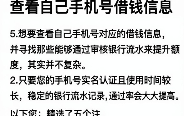 查看自己手机号借钱信息，详尽说明5个看银行流水的网贷软件