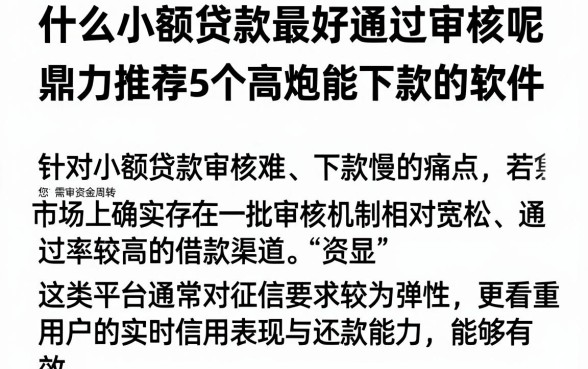 什么小额贷款最好通过审核呢，鼎力推荐5个高炮能下款的软件