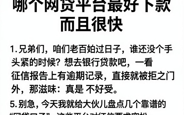 哪个网贷平台最好下款,而且很快，详细阐述5个网贷黑户必过app