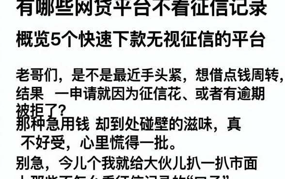 有哪些网贷平台不看征信记录,概览5个快速下款无视征信的平台