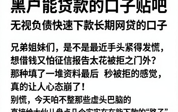 黑户能贷款的口子贴吧,深入剖析五个无视负债快速下款长期网贷的口子