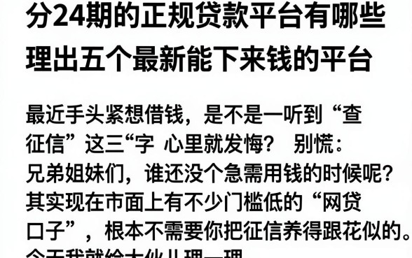 分24期的正规贷款平台有哪些，理出五个最新能下来钱的平台