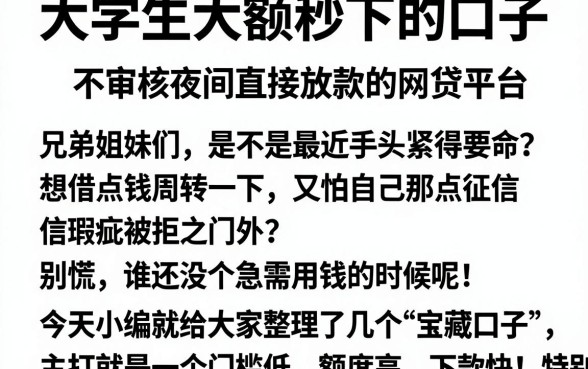 大学生大额秒下的口子，归纳5个不审核夜间直接放款的网贷平台