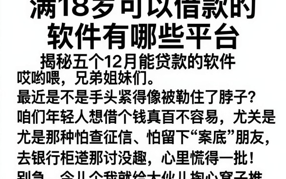 满18岁可以借款的软件有哪些平台，揭秘五个12月能贷款的软件