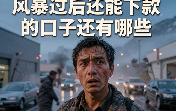 风暴过后还能下款的口子还有哪些，鼎力推荐五个不看年龄征信负债的app
