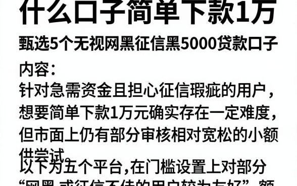 什么口子简单下款1万，甄选5个无视网黑征信黑5000贷款口子