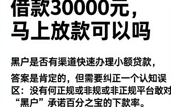 借款3000元马上放款可以吗,甄选5个黑户可快速办理小额贷款业务的口子