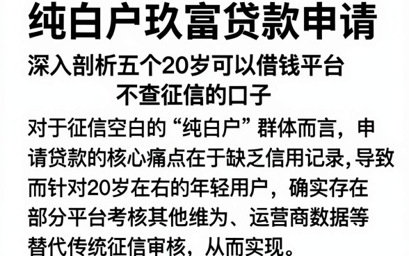 纯白户玖富贷款申请,深入剖析五个20岁可以借钱平台不查征信的口子