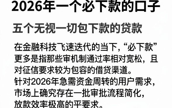 2026年一个必下款的口子，详细阐述五个无视一切包下款的贷款