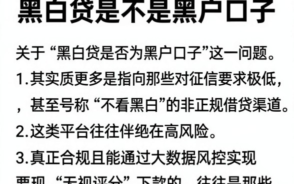 黑白贷是不是黑户口子，概览五个无视评分的贷款软件