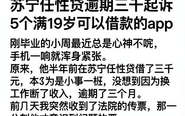 苏宁任性贷逾期三千起诉,深入剖析5个满19岁可以借款的app