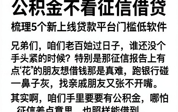 公积金不看征信借贷，梳理5个新上线贷款平台门槛低软件